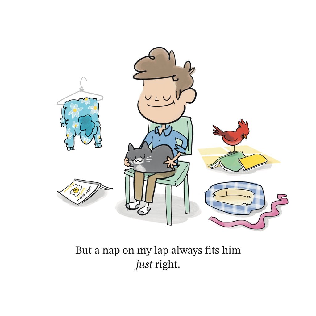 Naps On My Lap!